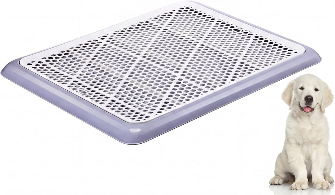 Mifoci 2 Pcs Dog Potty Tray, Mesh Puppy Training Pad