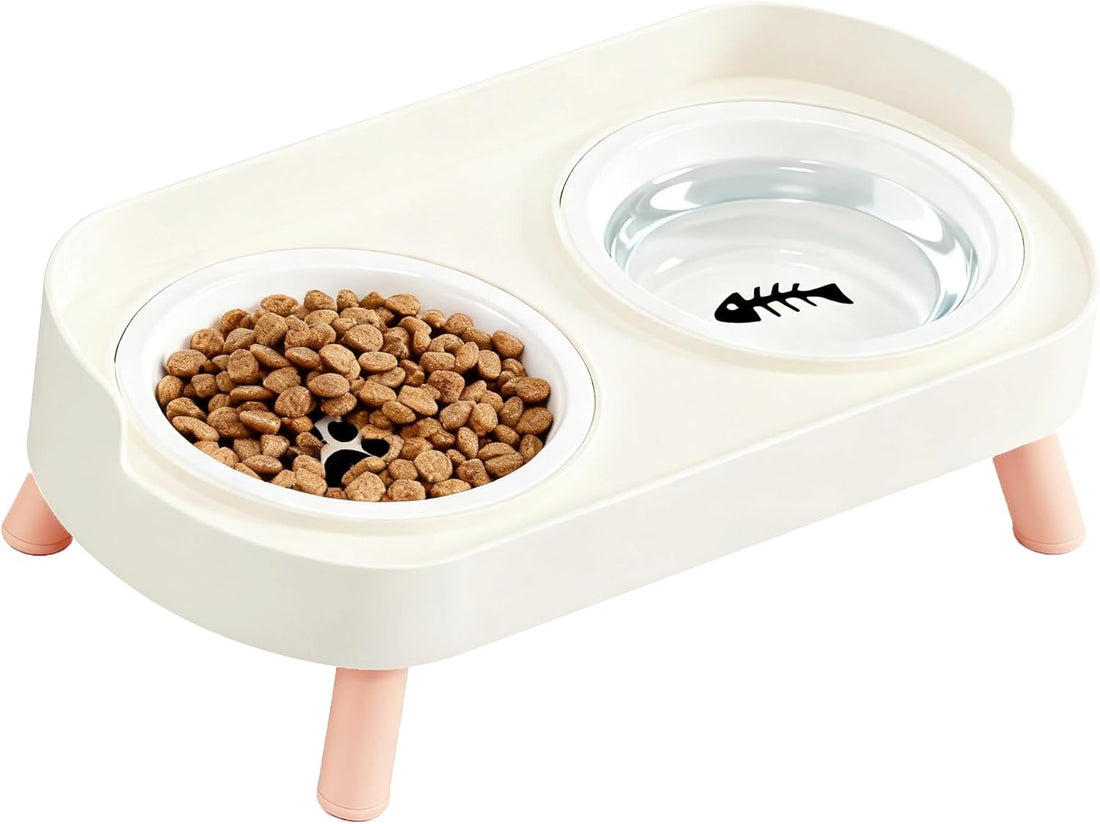 Elevated Cat Bowls, 2 Stainless Steel Raised Cat Food and Water Bowl