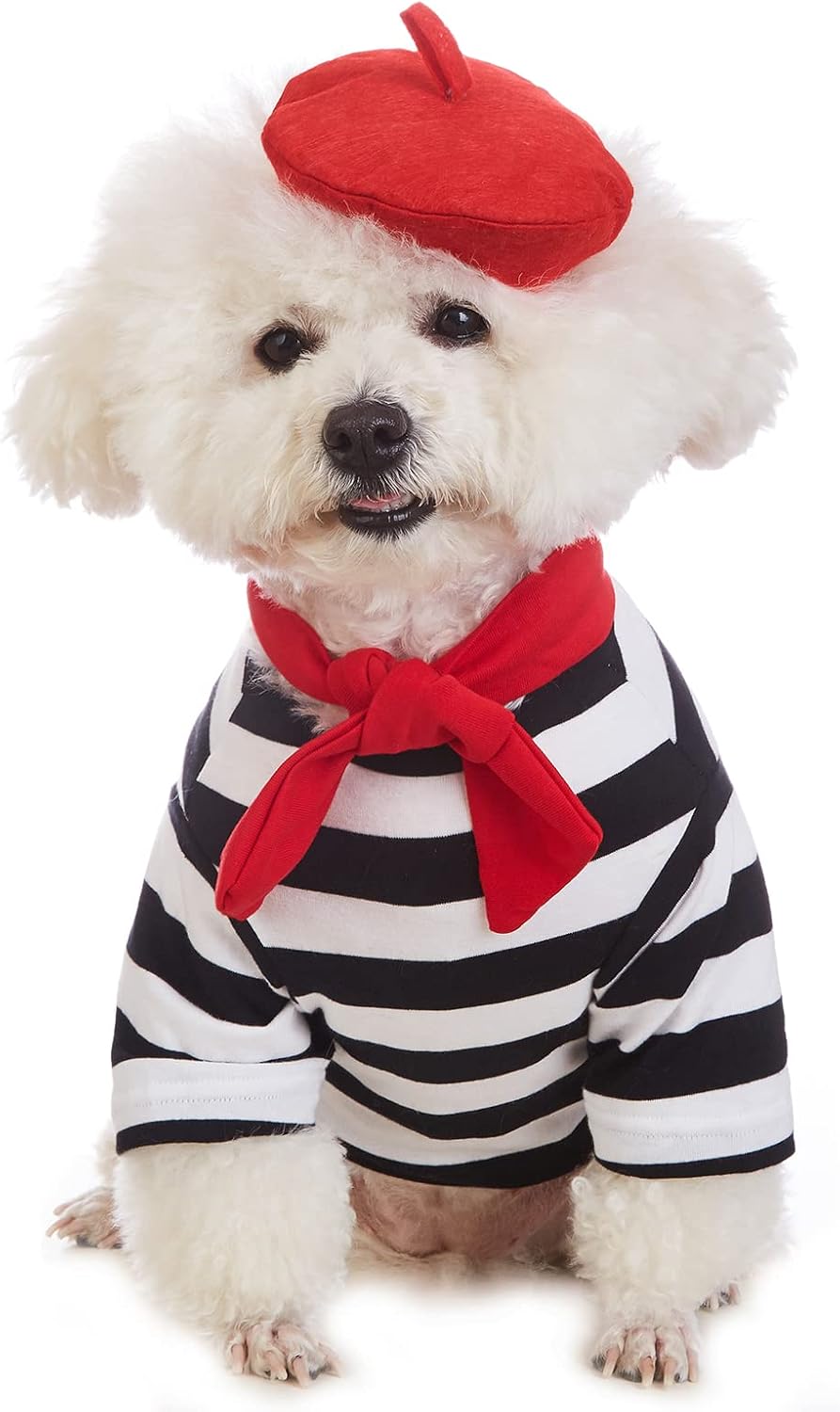Artist Dog Costume with Funny Hat Painter Pet Clothes for Small Dog