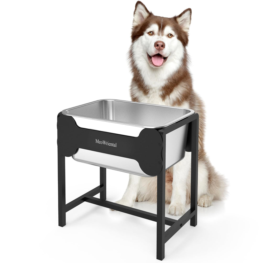 2.5 Gallon Elevated Dog Water Bowl for Large Breeds