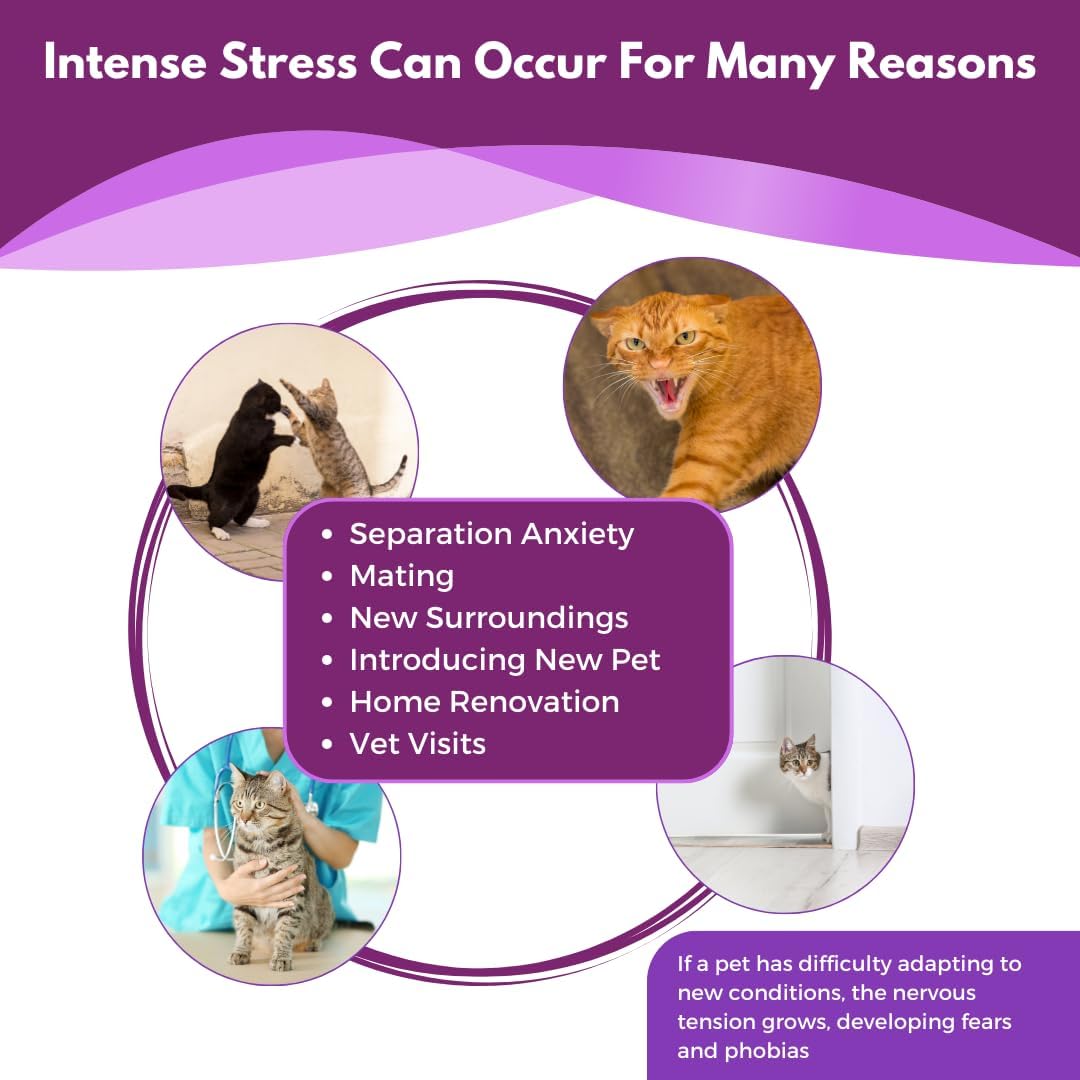 Cat Pheromone Diffuser Refill - 4 Pack Pheromones Refills