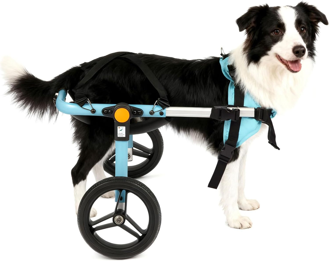 TailWaggers Dog Wheelchair for Back Legs | Adjustable Mobility Aid