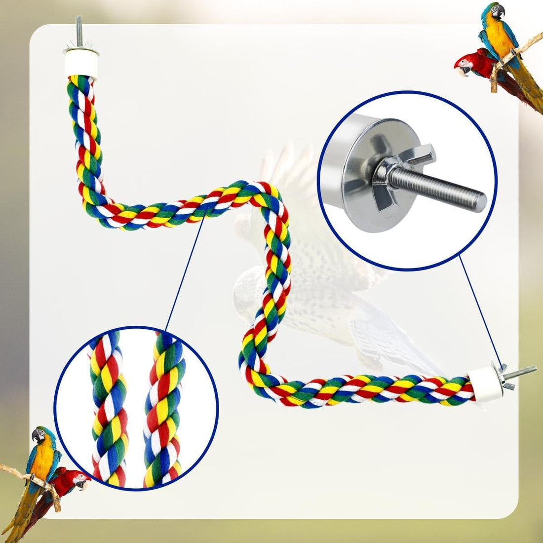 Bird Bungee Climbing Swing - Colorful Parakeet Rope Perch
