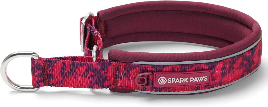 Spark Paws Martingale Dog Collar – Cushioned Slip-On Training Collar