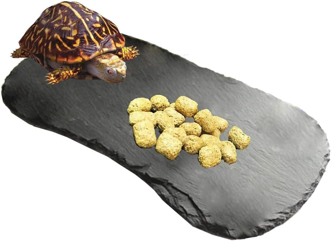 Tfwadmx Reptile Basking Platform,11''x5.5'' Tortoise Rock Plate