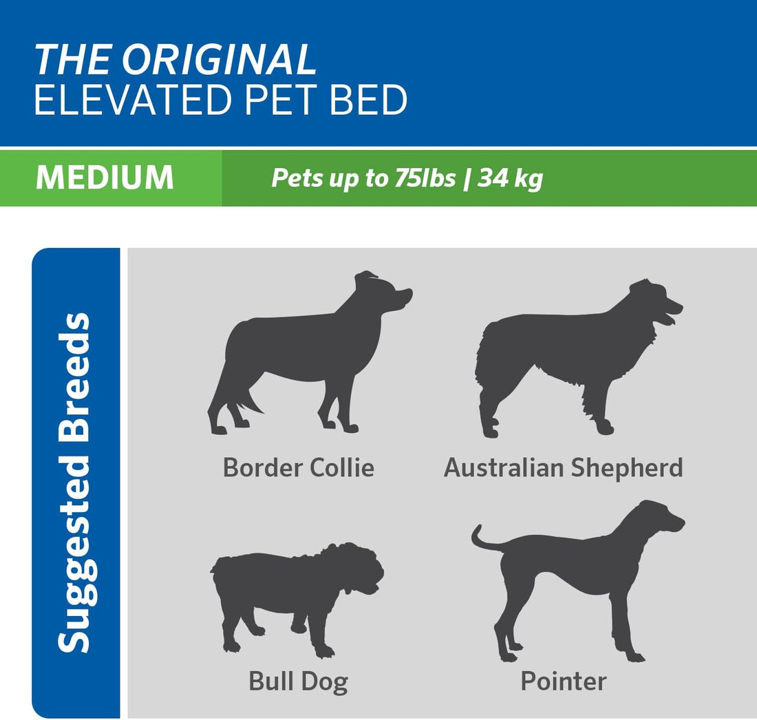 Coolaroo Original Elevated Dog Bed