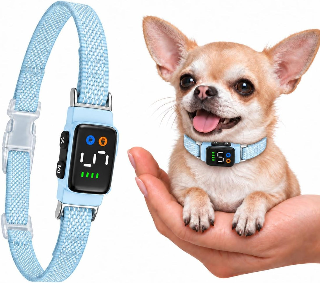 Teacup Bark Collar for Small Dogs 2-15lbs