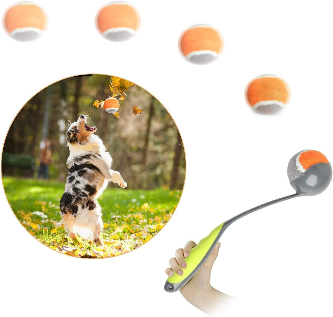 PAWISE Dog Ball Launcher for Small & Medium Dogs