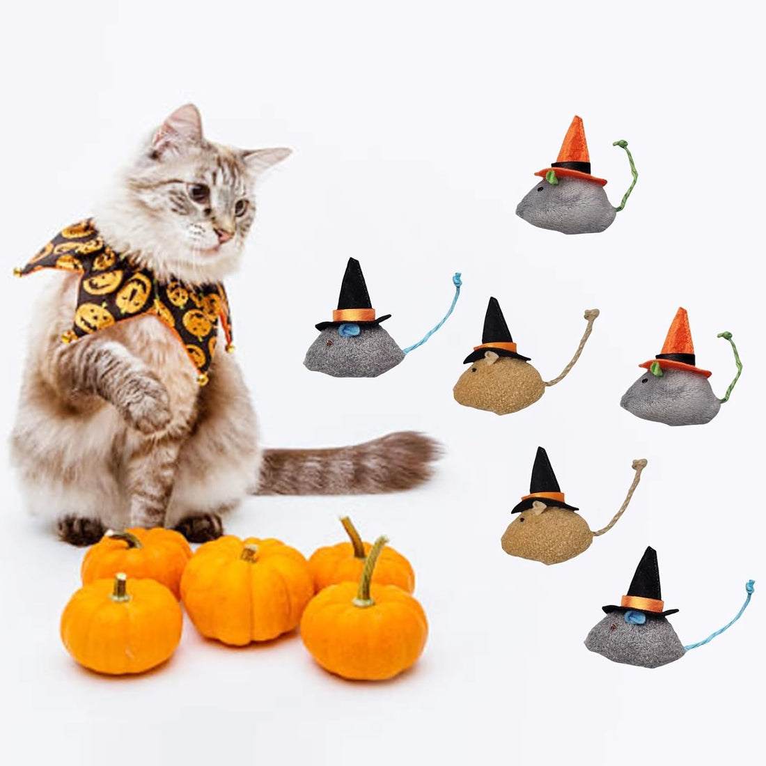 6-Pack Halloween Cat Toys Interactive Toy Witch Magic Hat Costume