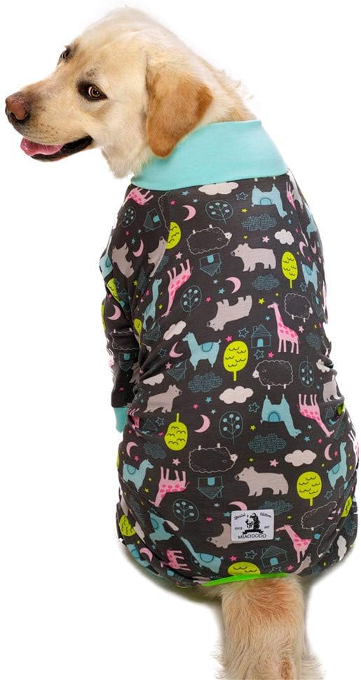 Dog Surgery Recovery Suit Female Male for Dogs After Surgery Medium