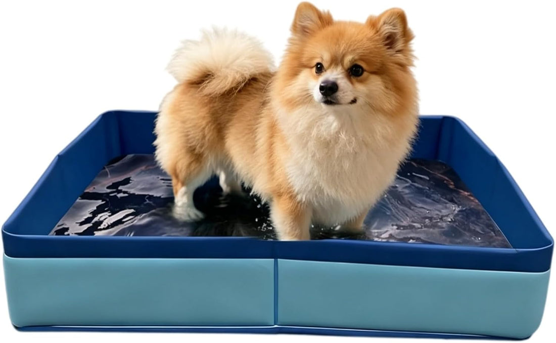 Foldable Dog Pool Supplies, Portable Pet Wading Pool Bathtubs for Cat