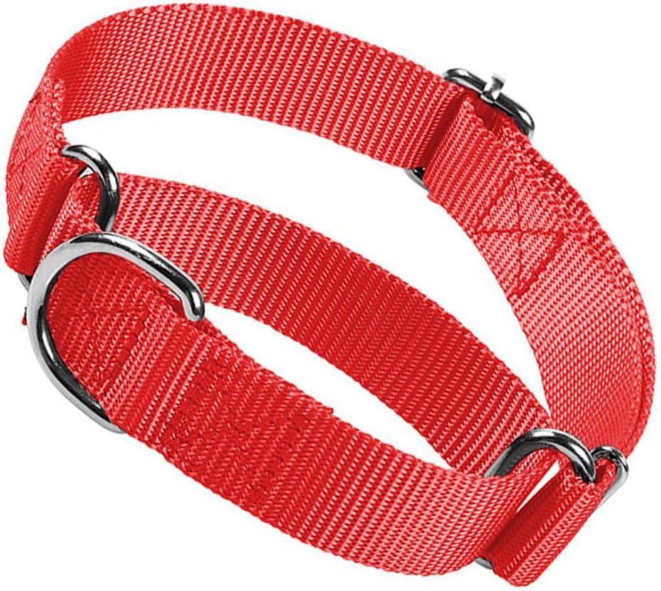 Martingale Collar for Dogs Choke Dog Choker Collars, Purple M