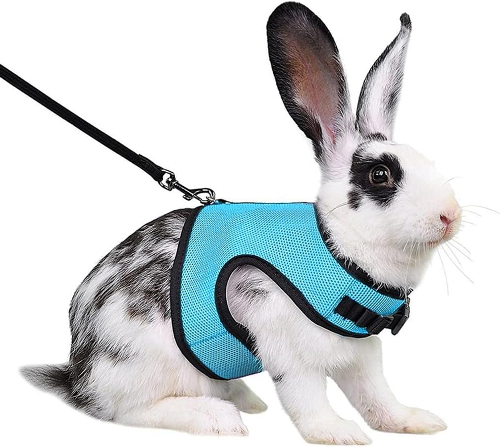 Bunny Harness and Leash Set Escape Proof, Rabbit Harness Blue L