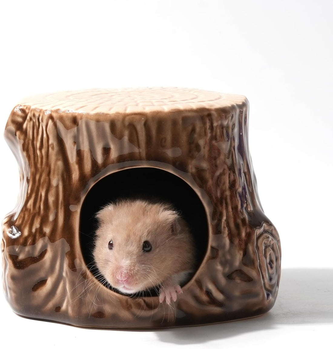 Ceramic Hamster Hideout Strawberry Chew Proof Syrian Hide Cool Bed