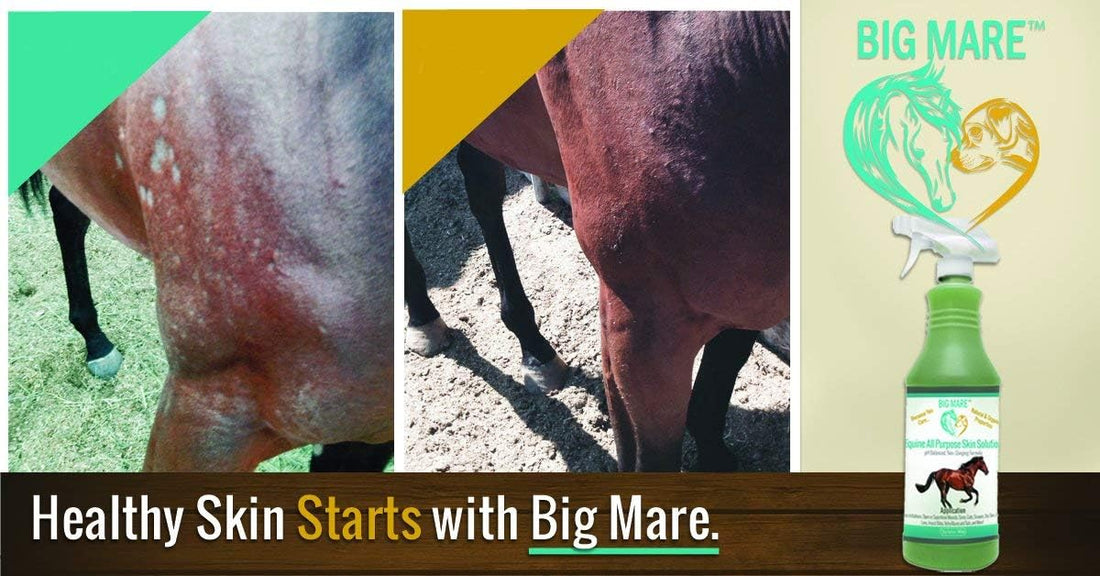 Big Mare Horse Skin & Wound Care Spray, 32 oz