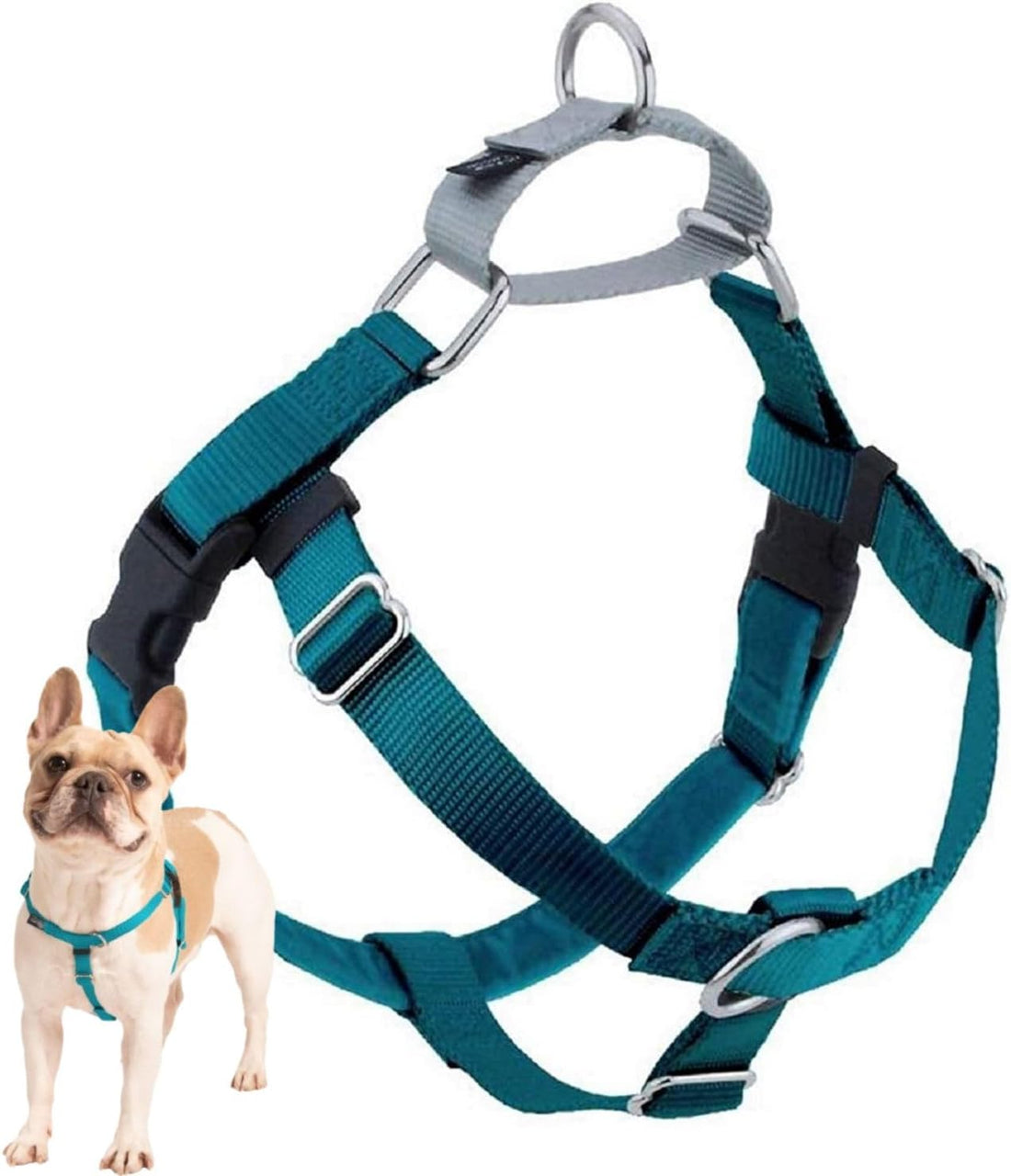 2 Hounds Design Freedom No Pull Dog Harness, 1 inch LG, Teal