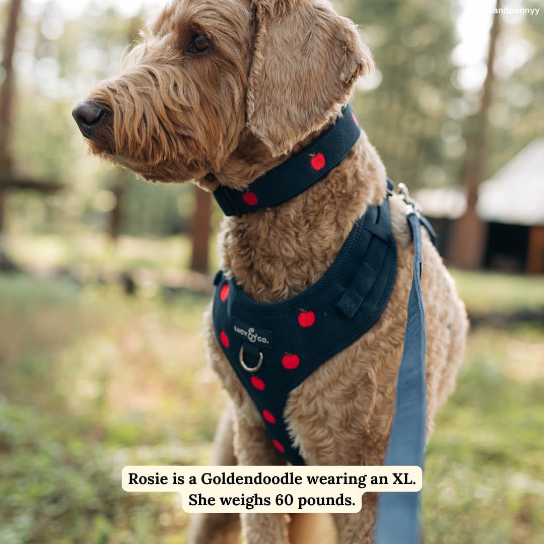 Lucy & Co. Appley Ever After Corduroy No-Pull Dog Harness, XL