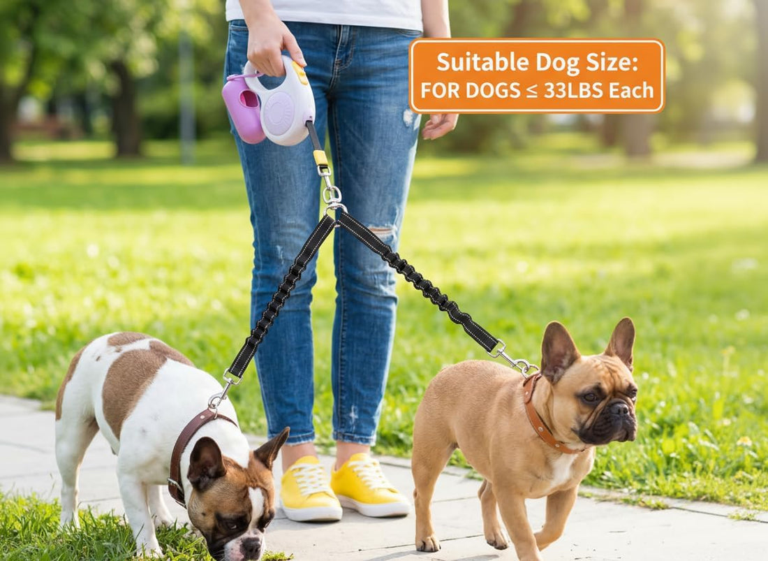 Double Dog Leash for Walking 2 Small Dogs