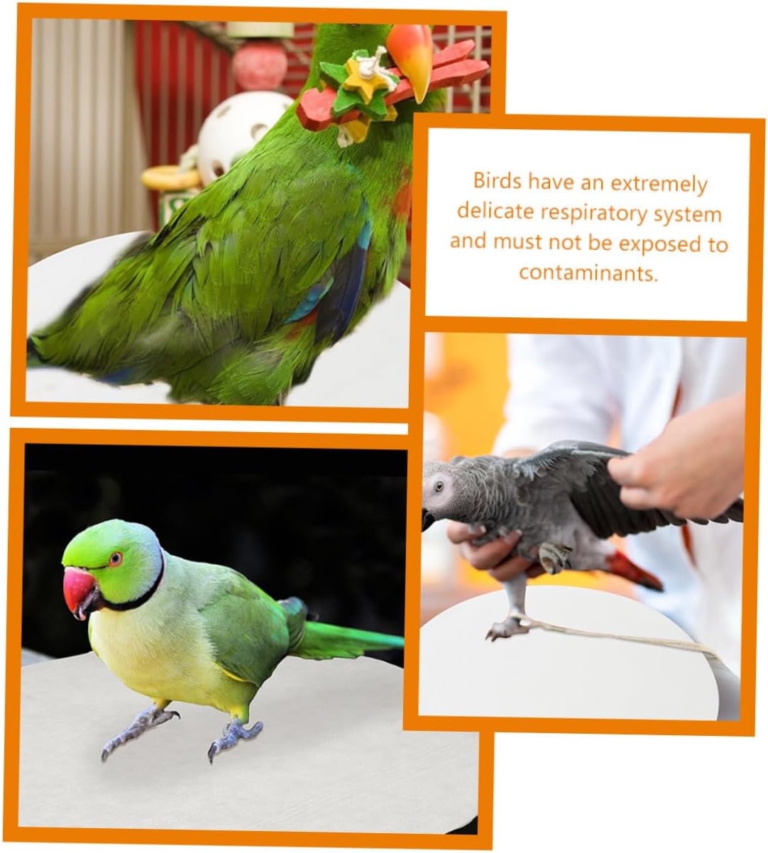Bird Cage Liner Sheets Round Nonwoven 100 Pieces