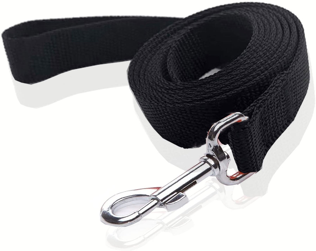 Nylon Dog Leash 8 Feet Long, Walking Training Dog Leashes for Medium