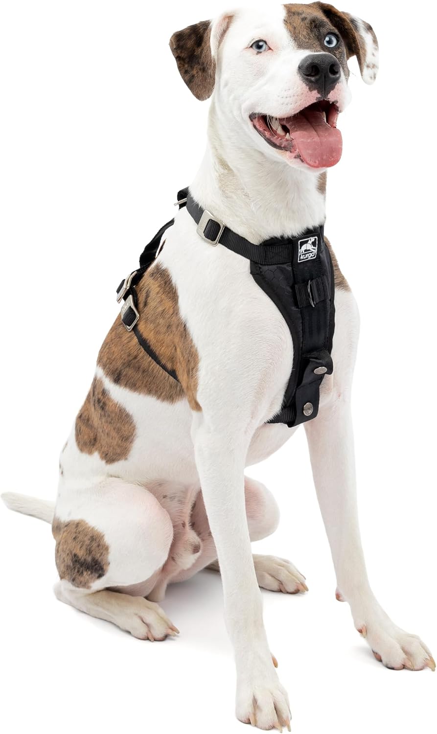 Kurgo Tru-Fit Enhanced Strength Dog Car Harness
