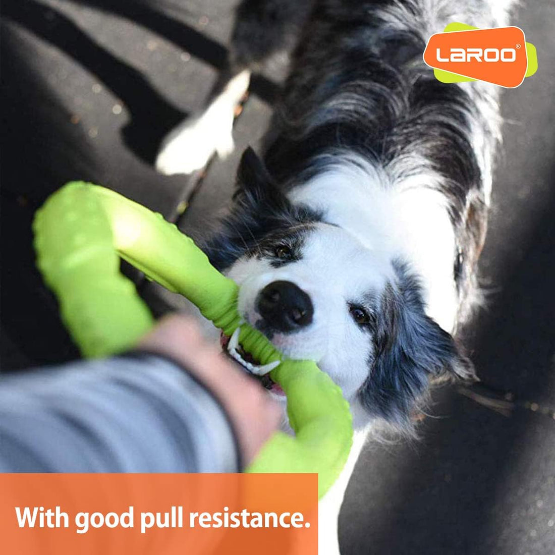 LaRoo Dog Ring Toy, Durable Soft Flying Disc for Throwing Catching