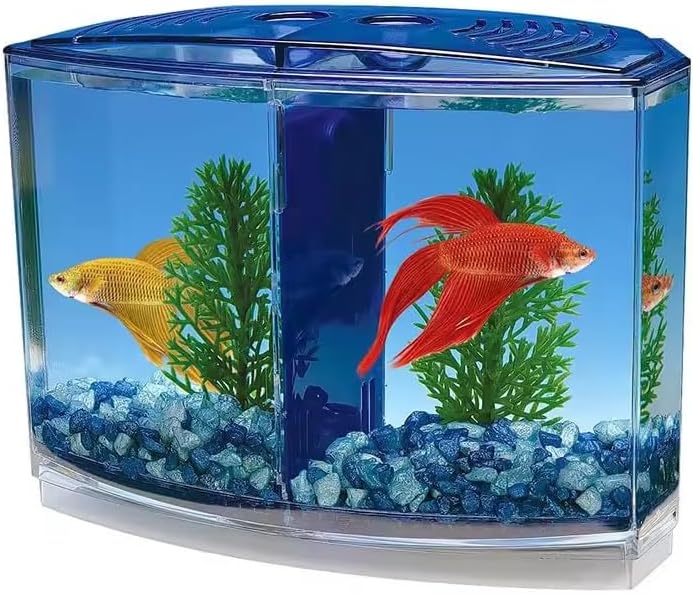 EatingBiting Large Double Compartment Fighting Fish Box Eco Rumble