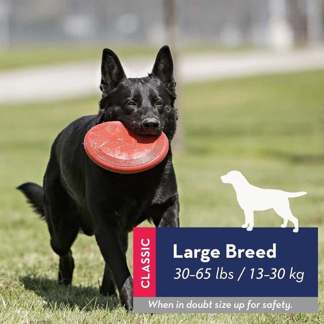 Kong Rubber Flyer,Large 2 Pack, Red