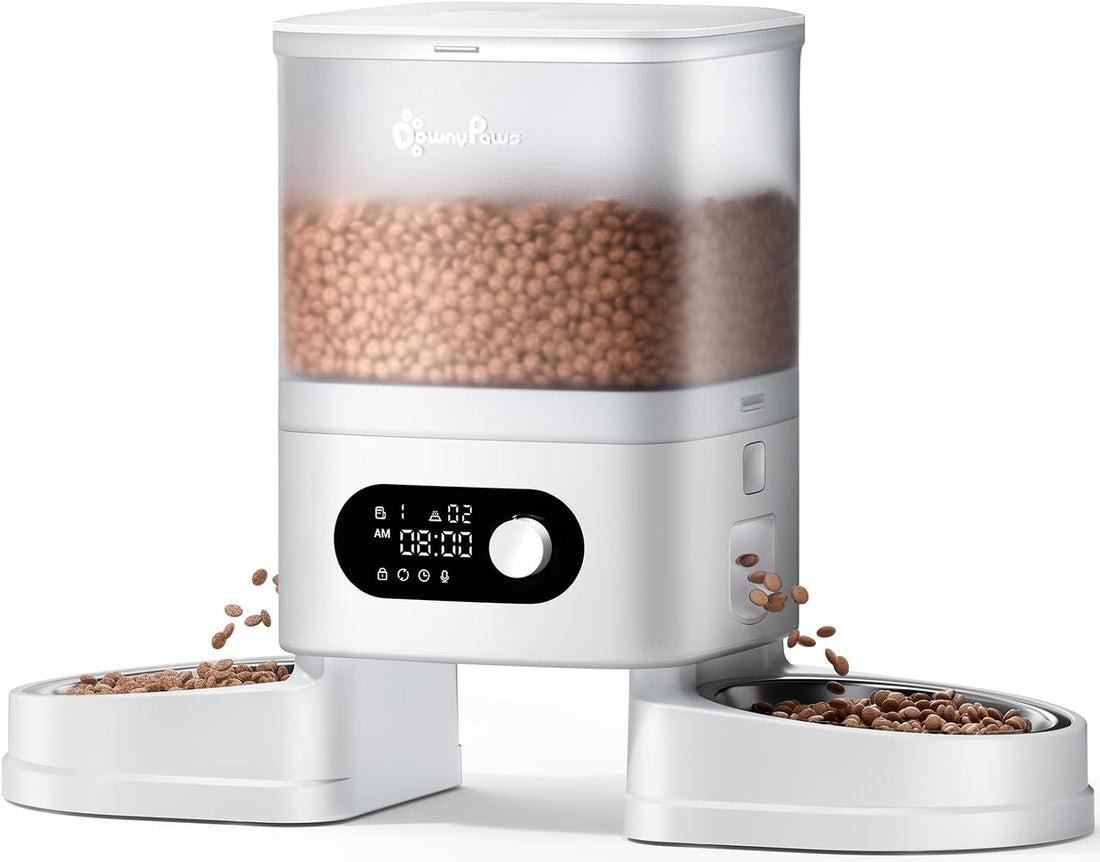 DownyPaws Automatic Cat Feeder 2 Cats