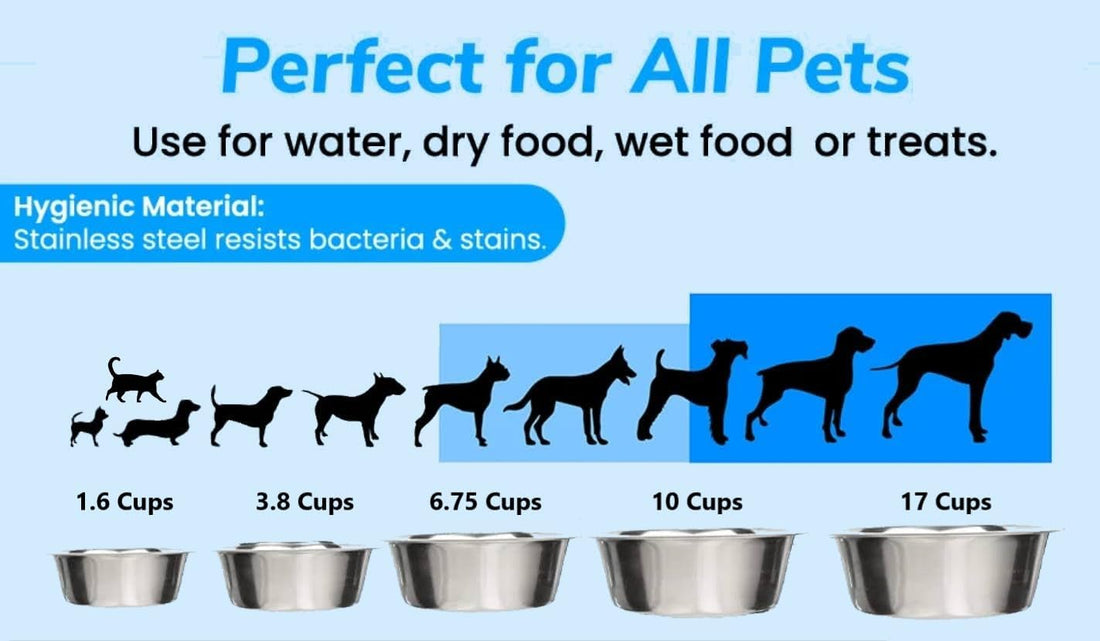 4 Pack - 6.75 Cup Stainless Steel Dog Bowls – Metal Dog Food Bowls