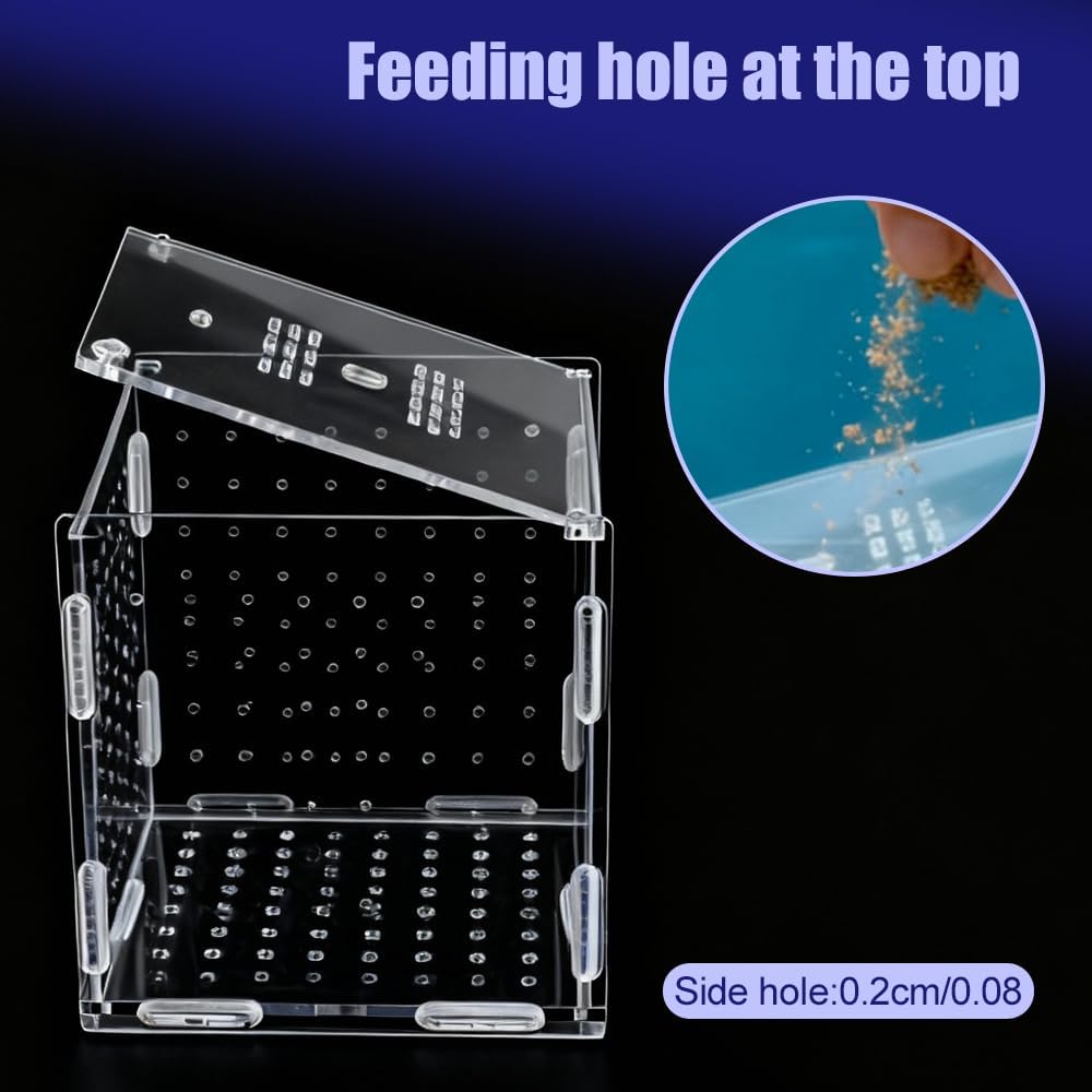 Fish Breeding Box, Acrylic Fish Isolation Container Aquariums