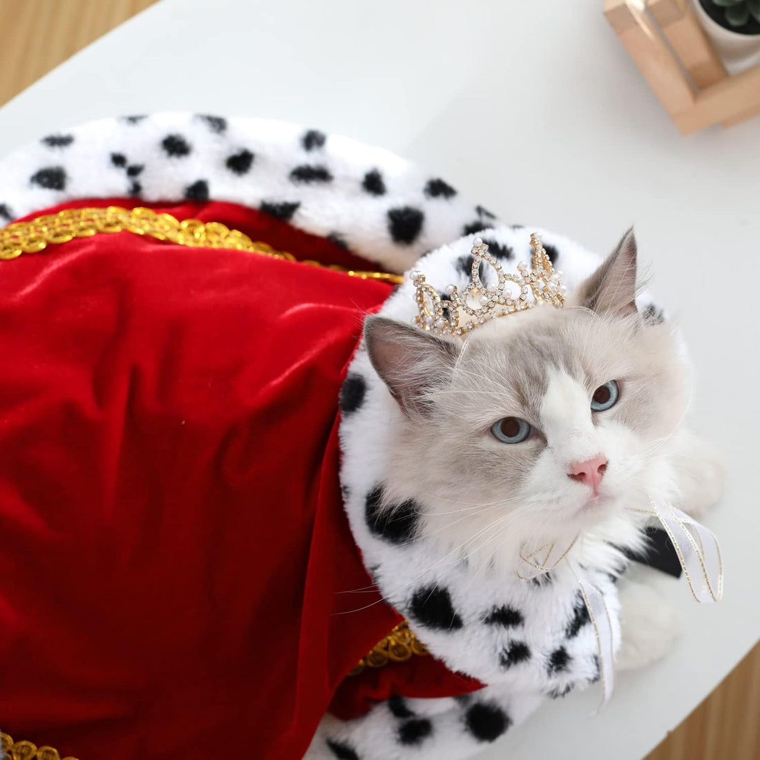 Lovelyshop pet Serial Lux Fur Red Cat Dog Cloak for Halloween Costumes