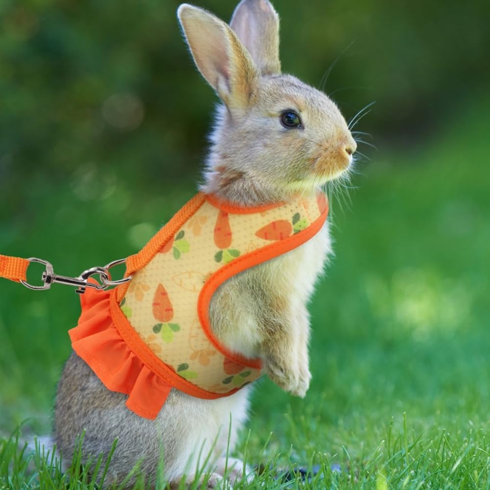 Guinea Pig Harness & Leash Set