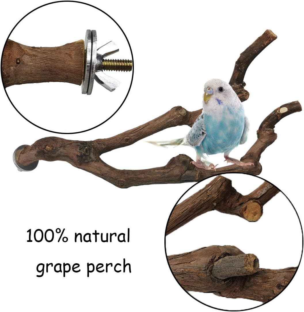 kathson Natural Parrot Perch Bird Stand Pole Wild Grape Stick Paw