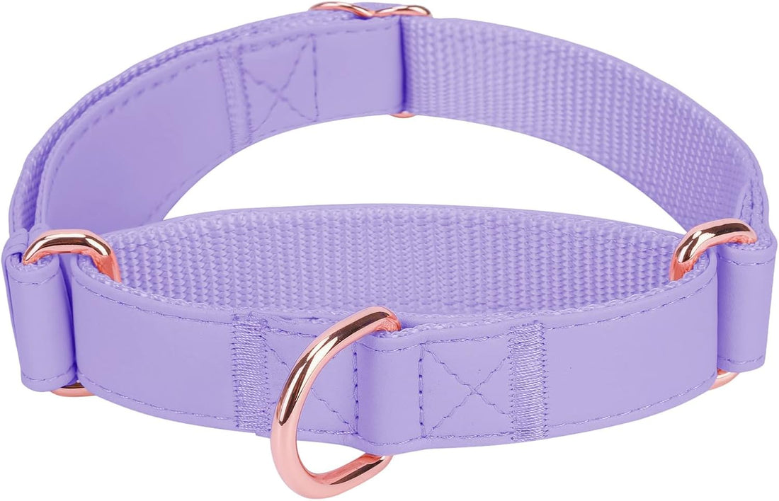 Soft Leather Martingale Dog Collar