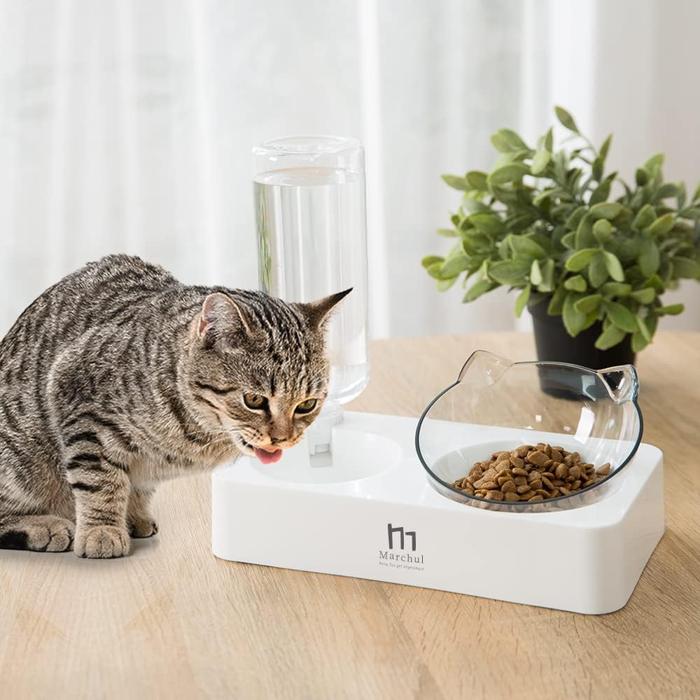 Marchul Double Elevated Dog Cat Bowl, Pets Water and Food Bowl Set