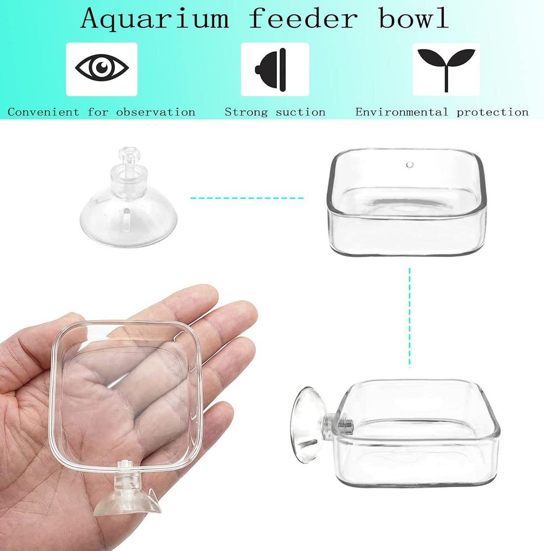 Aquarium Shrimp Feeder Dish Glass Fish Tank Feeding Bowls