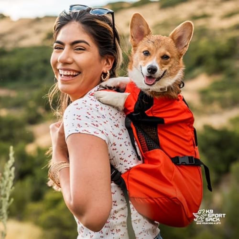 K9 Sport Sack Trainer