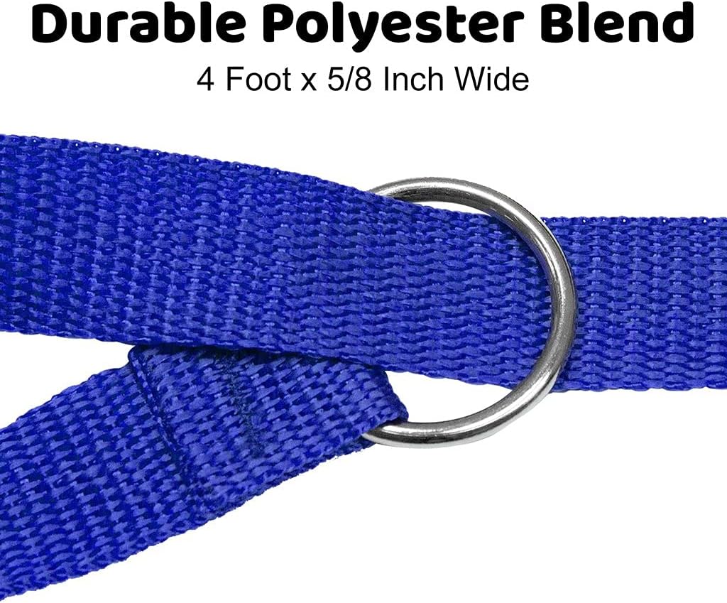 Downtown Pet Supply Slip Lead Dog Leash 6 Pack, 4' x 1/2"
