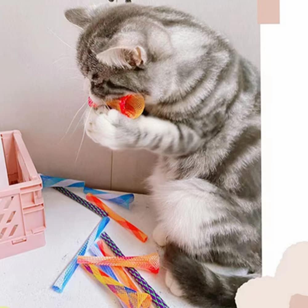 ISMARTEN Cat Spring Toys, 30 Packs Cat Tube Spring Toy Interactive