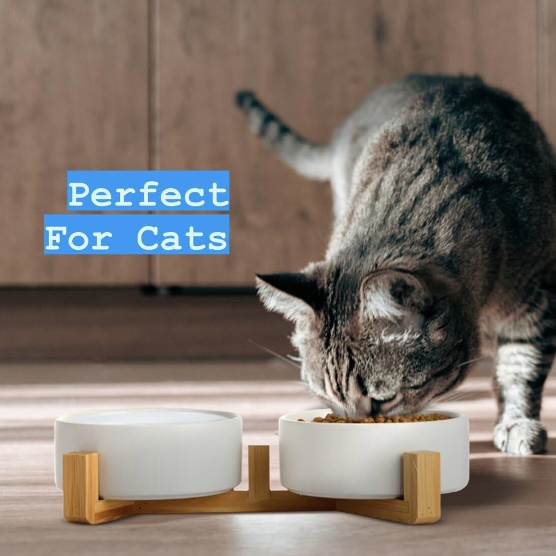 Ceramic Cat and Small Dog Bowl Set
