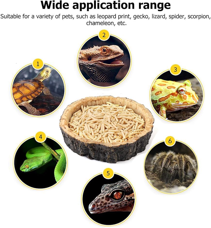 2PCS Reptile Water Dish Food Bowl Set Reptile Feeder Food and Water