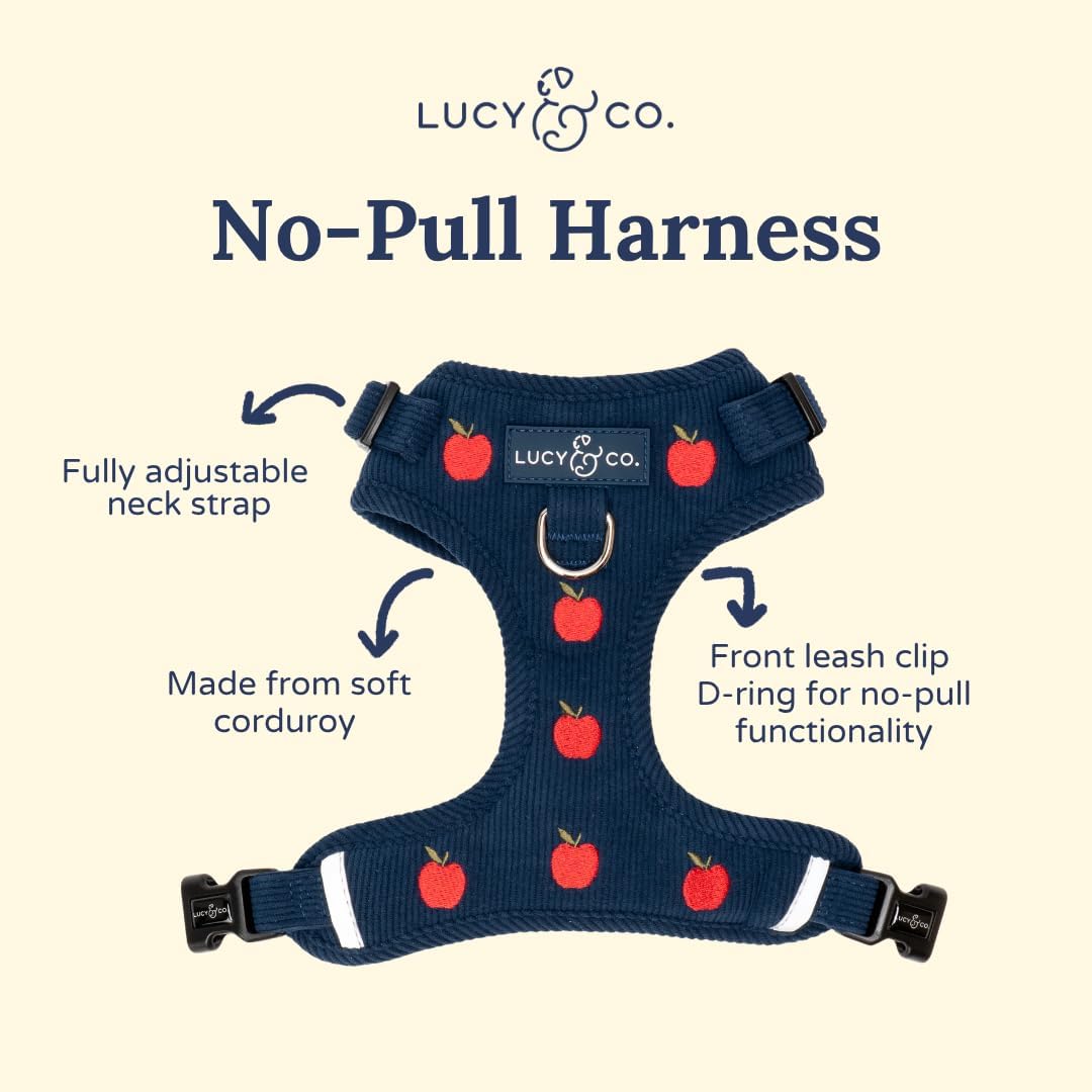 Lucy & Co. Appley Ever After Corduroy No-Pull Dog Harness, XL