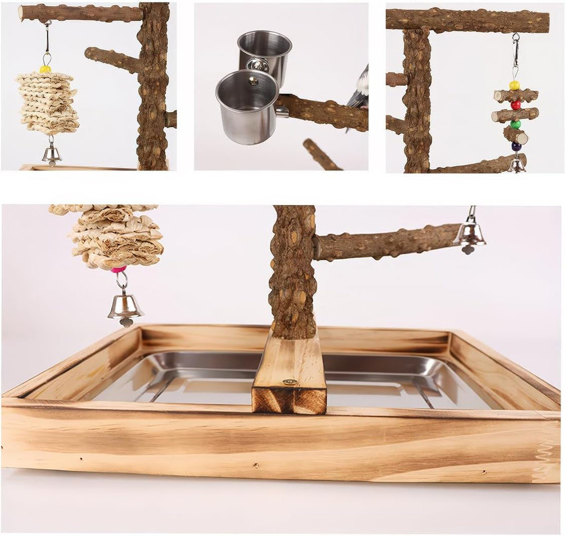 Bird Playground, Parrot Perch Stand