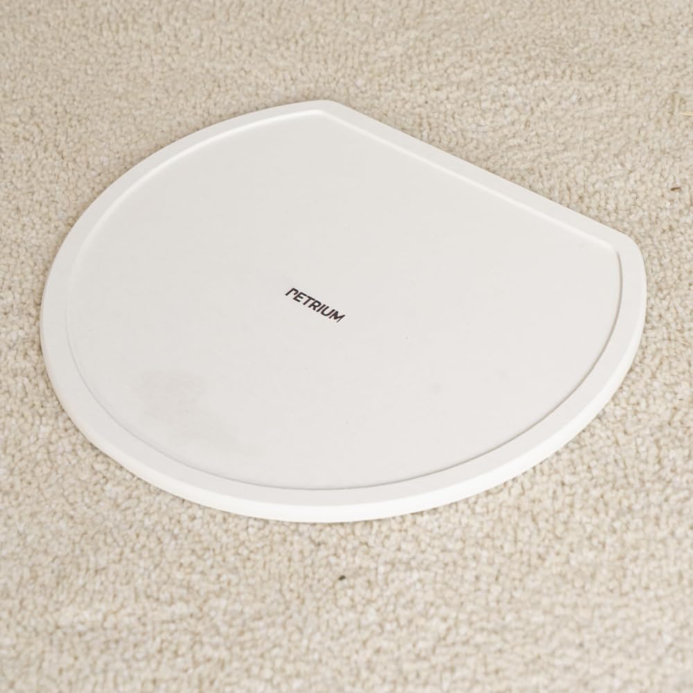 Stone Dry Mat for Pets, Absorbent Pet Feeding Mat for Food