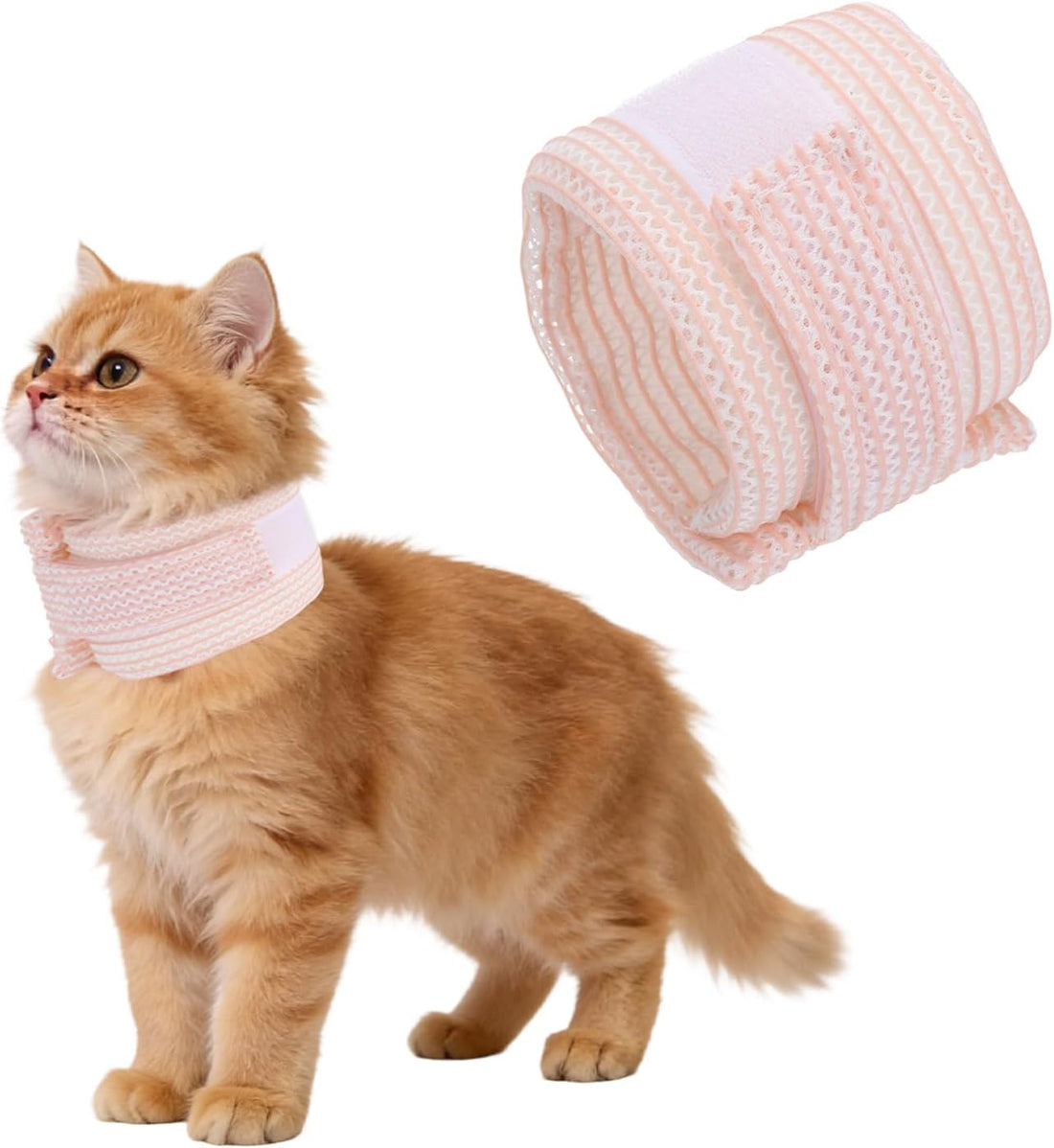 Cat Neck Cone, Recovery Collar (Mesh/M/9.1-11.8"/Blue)