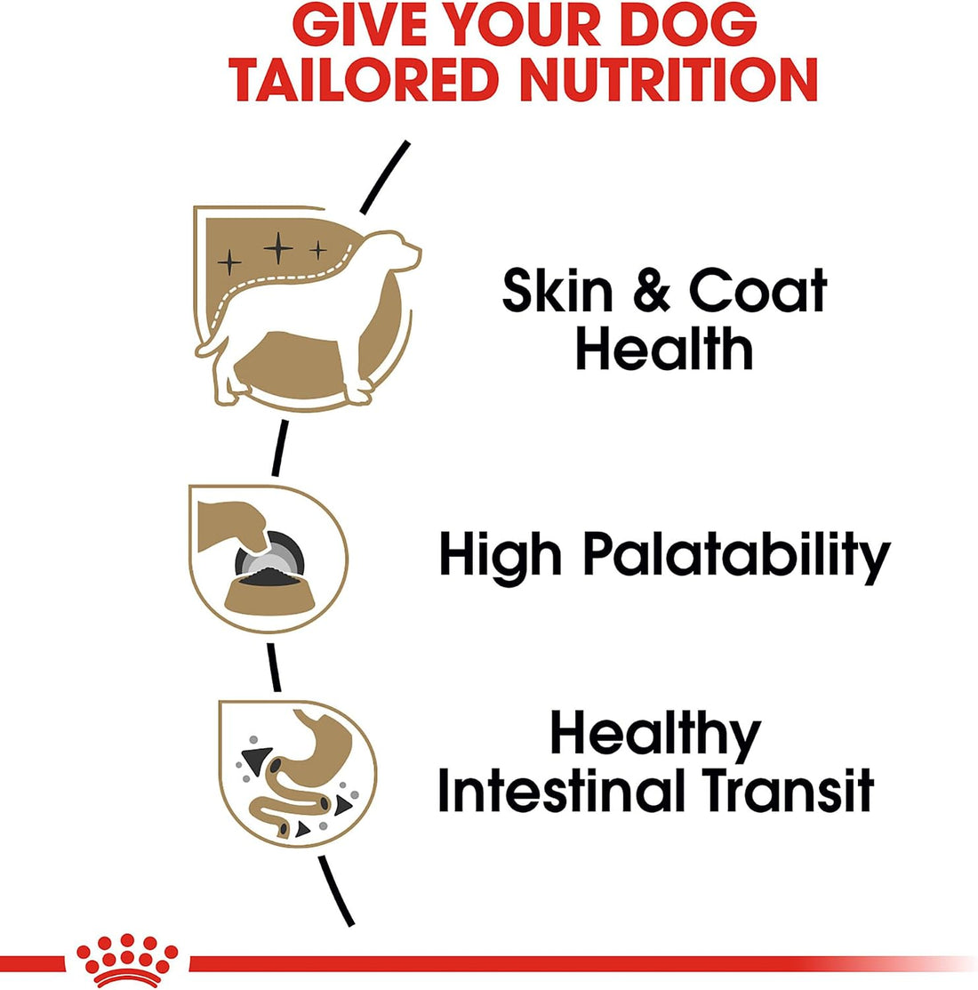 Royal Canin Breed Health Nutrition Chihuahua Adult Loaf in Sauce Dog