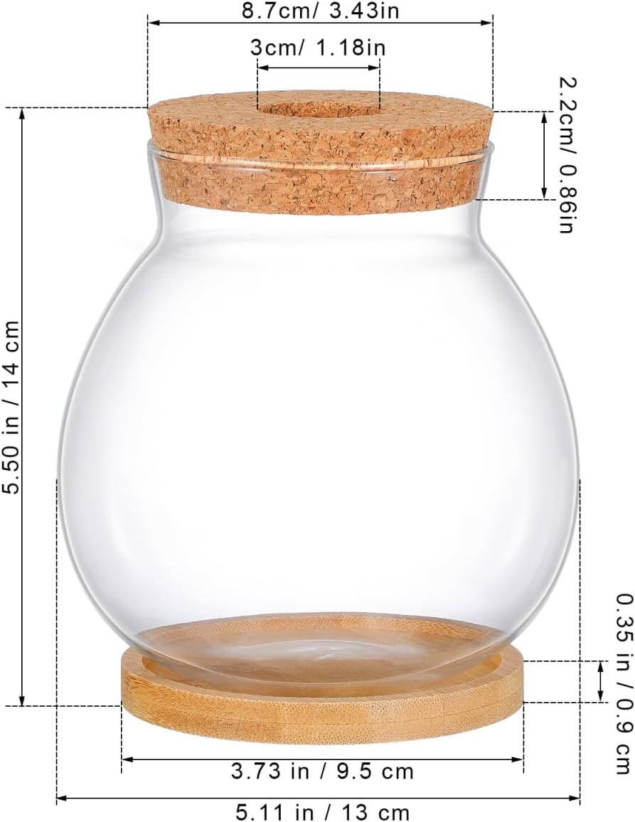POPETPOP Desktop Glass Fish Bowl - Round Small Fish Tank