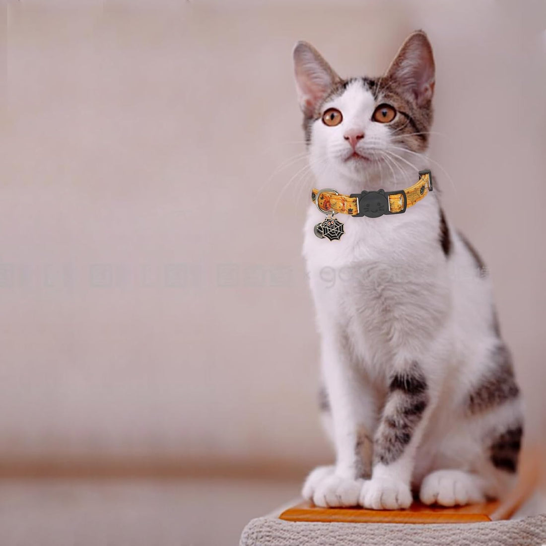 Halloween Cat Collar, Cotton 2 Pack Cat Collar with Bells, Purple