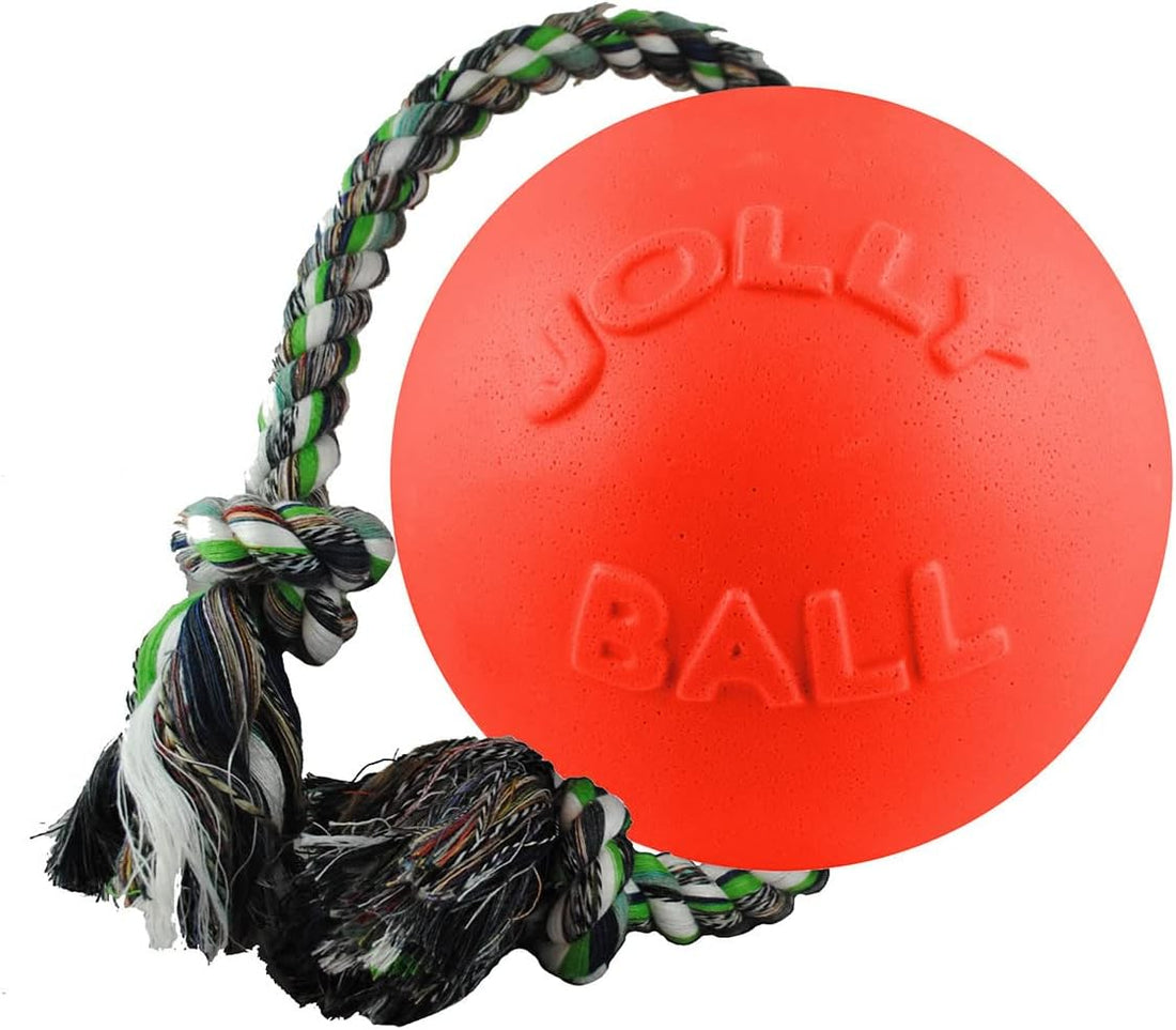 Jolly Pets Romp-N-Roll Rope & Ball Dog Toy, 8 in Large